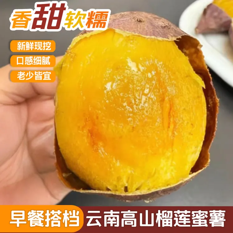 【甜糯 糖豆果 】云南高山榴莲蜜薯 溏心番薯 圆圆果蜜薯 香甜软糯
