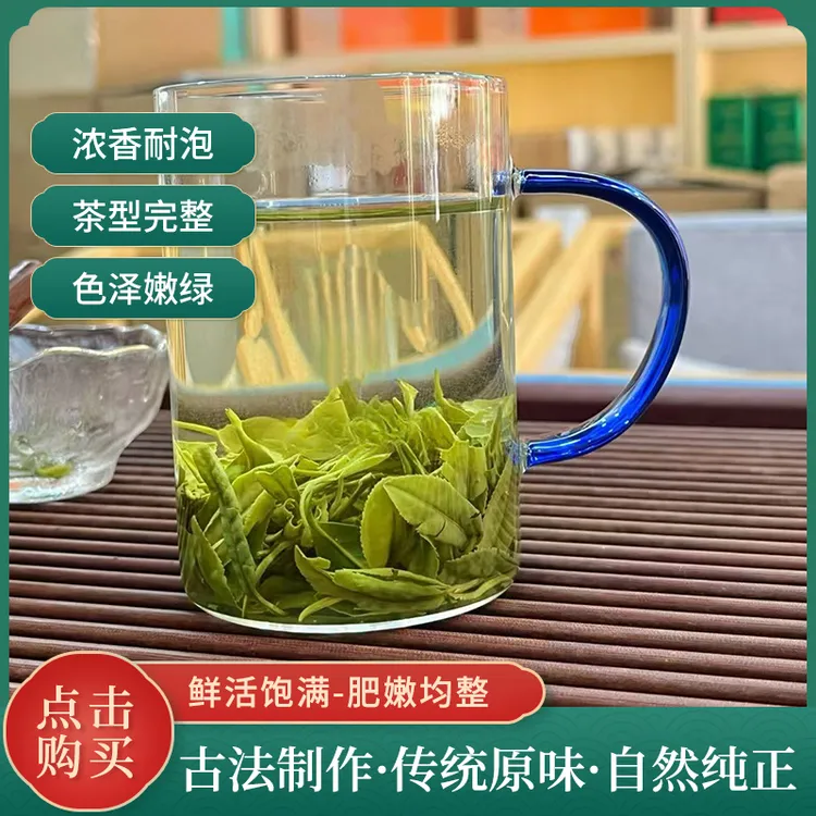 关南小茶1号2025新茶紫阳高山毛尖绿茶雨前茶手工采摘浓香耐泡