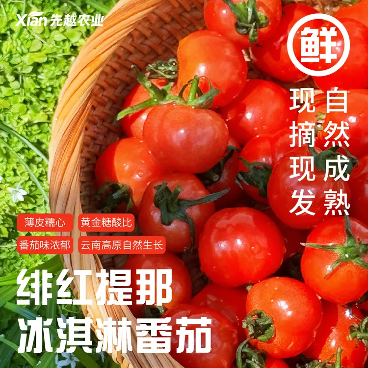 绯红提那冰淇淋皮薄糯心口口爆汁现摘现发云南冰淇淋小番茄