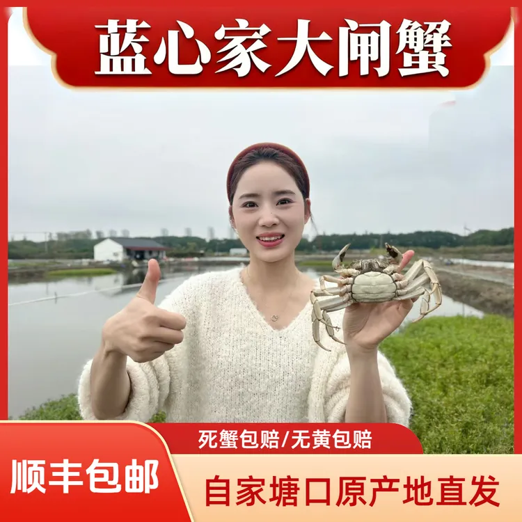 活蟹蓝心大闸蟹 全母 3.4-3.7两/每只 /4对 8只