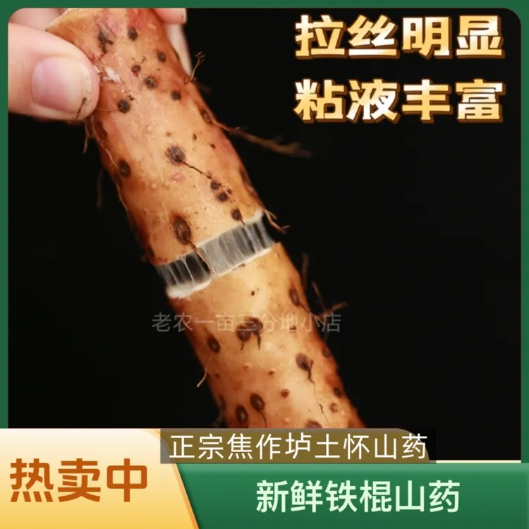 正宗温县垆土铁棍怀山药新鲜现挖低糖粗粮老人宝宝秋冬滋补食材