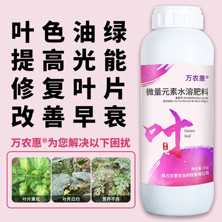 万农惠叶绿素叶面肥 促叶发绿 黄叶转绿 减少早衰 促进果实发育