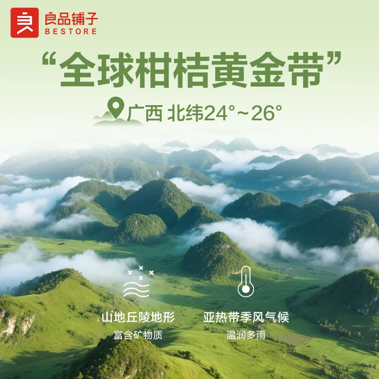 良品铺子甘草金桔400g春季滋润甘草清爽清润金桔传统健康零食BDT