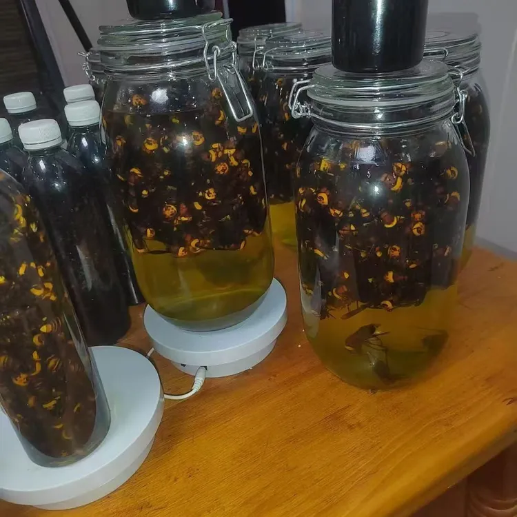 顺丰包邮野生虎头蜂用活泡，顺丰包邮，鸟