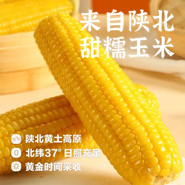 【顺丰包邮】陕北定边黄土高原新鲜黄糯软糯甜糯玉米真空包装粗粮