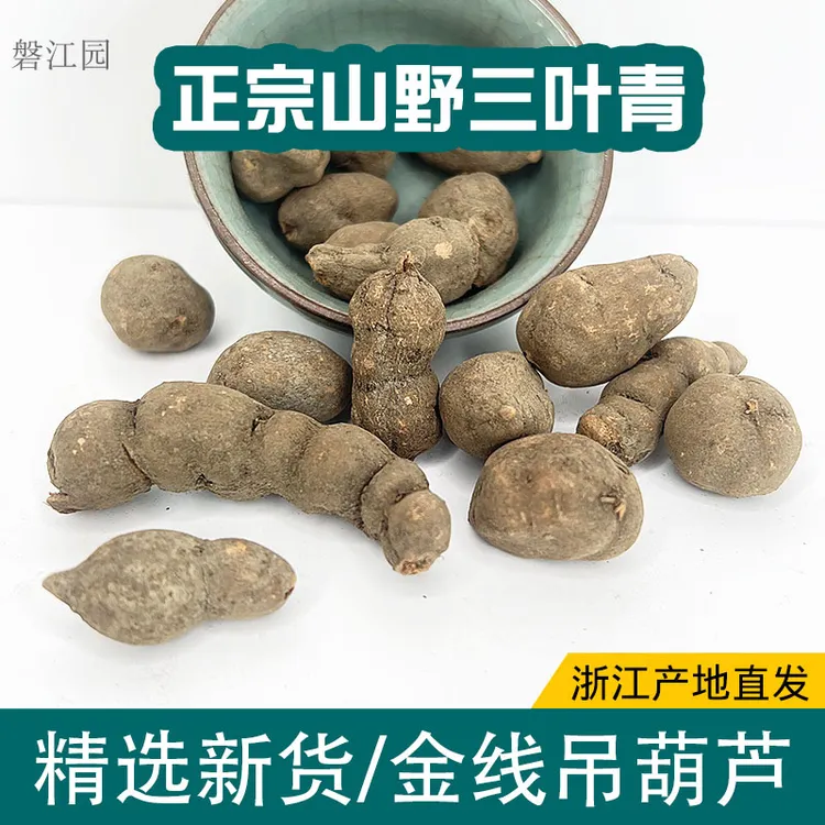 【正宗浙江山野三叶青】中药材无硫磐高山正品金线吊葫芦新货可打粉