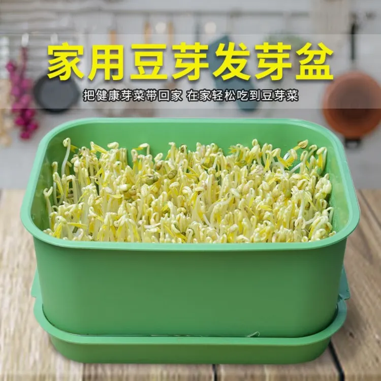 厨房发豆芽专用盆育苗盘种植发芽盆大容量好物生黄绿豆芽猫草盆