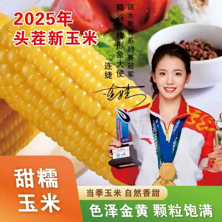 【菁菁专属】2025年头茬新玉米释谷东北甜黄糯玉米8支一箱