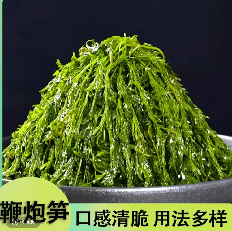 鞭炮笋火锅食材海藻菜凉拌菜海草火炮菜长寿龙须盐渍羊栖菜