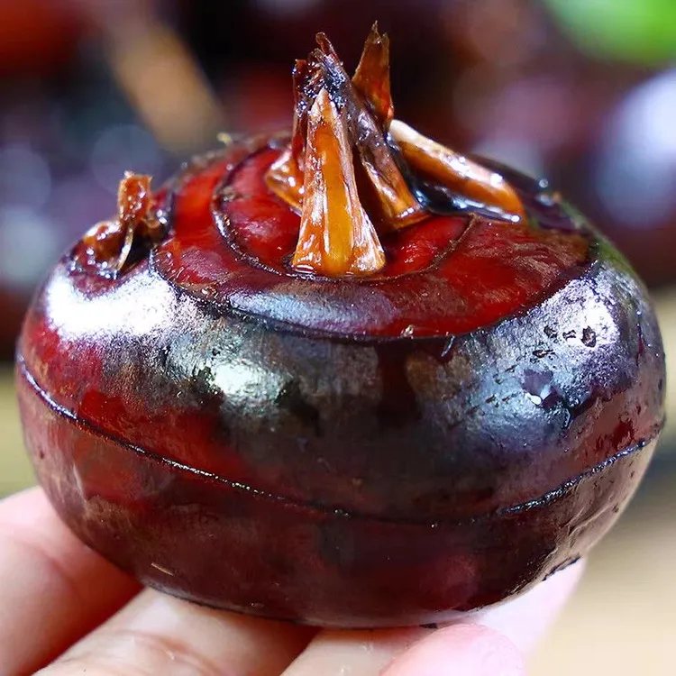 湖北农家新鲜马蹄红皮马蹄荸荠水果新鲜现挖蔬菜脆甜地栗多汁大果