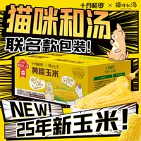 【25年新玉米】十月稻田黄糯玉米限定联名装香甜糯东北黏苞米早餐