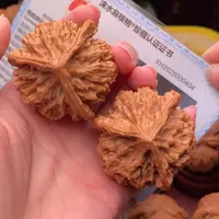 文玩核桃把件龙纹奔49