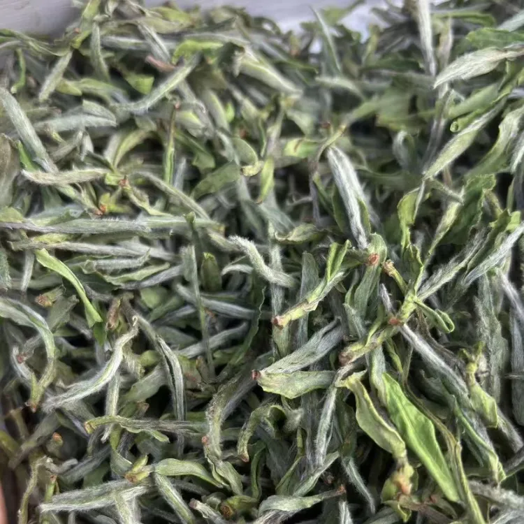 2025政和头采牡丹王，兰花香气浓郁、毫香、鲜爽、清甜