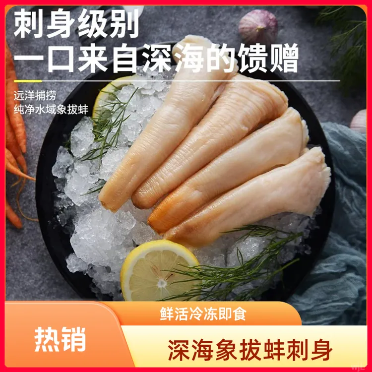 深海象拔蚌鲜活冷冻 刺身即食切片新鲜冷冻