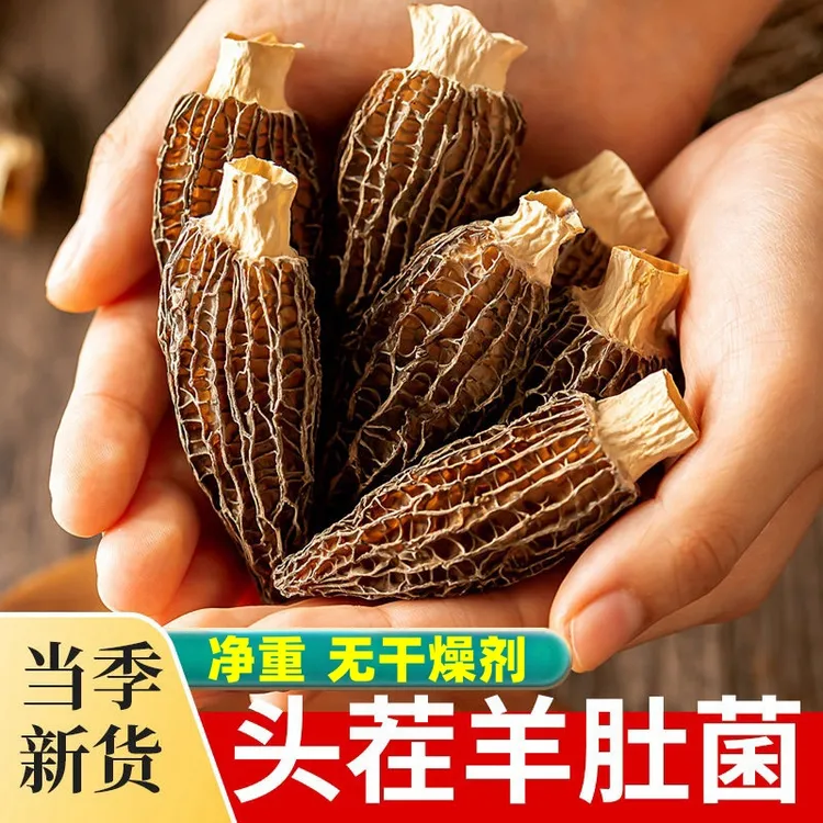 【羊肚菌8+厘米】羊肚菌干货煲汤炖汤佳品营养美味肉质肥厚4-7cm