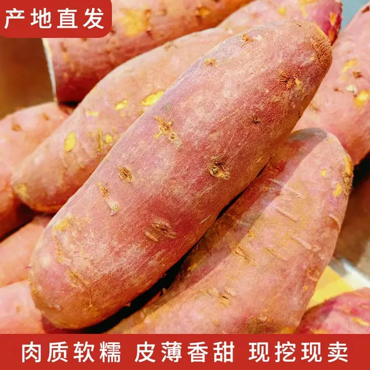 北盘农园榴莲蜜薯玛莎莉净重4.5斤小果/中果无筋无丝沙地黄心红薯