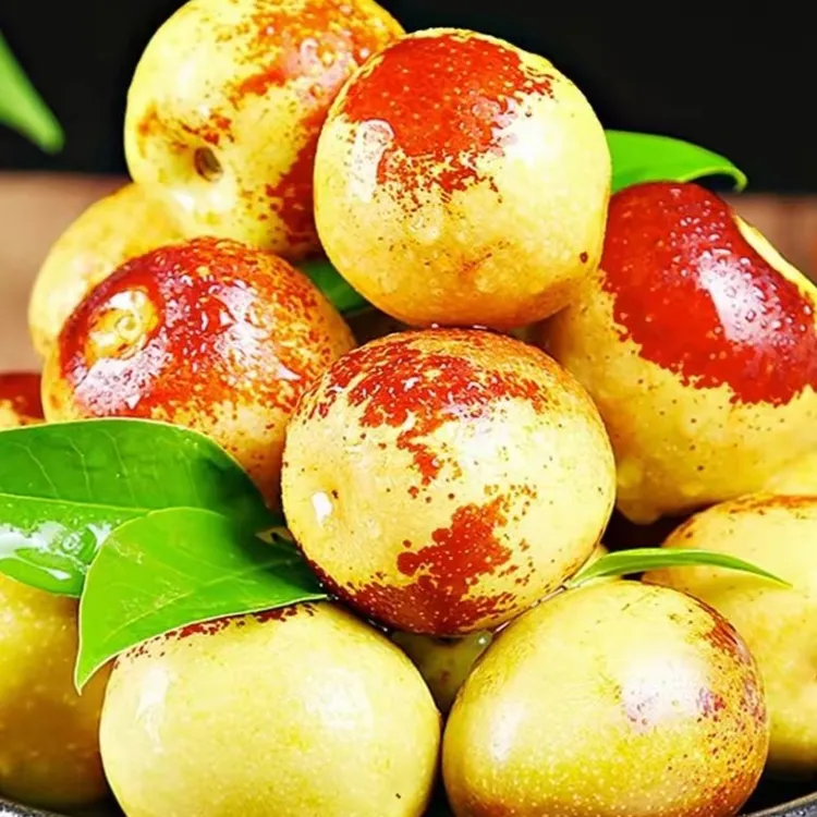 巴东直发新鲜现摘香甜脆爽冬枣应季水果