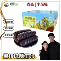 【试吃2根】25年头茬新鲜黑糯玉米整箱10根装单根250-320g/根