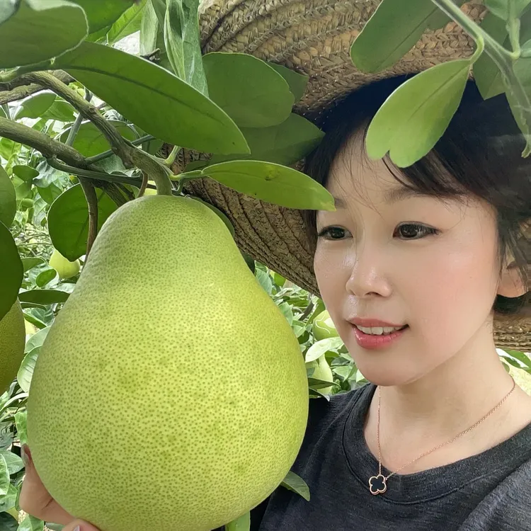 【燕子归乡】【中大果】正宗江西特产安福金兰柚清甜不酸 颗粒饱满 