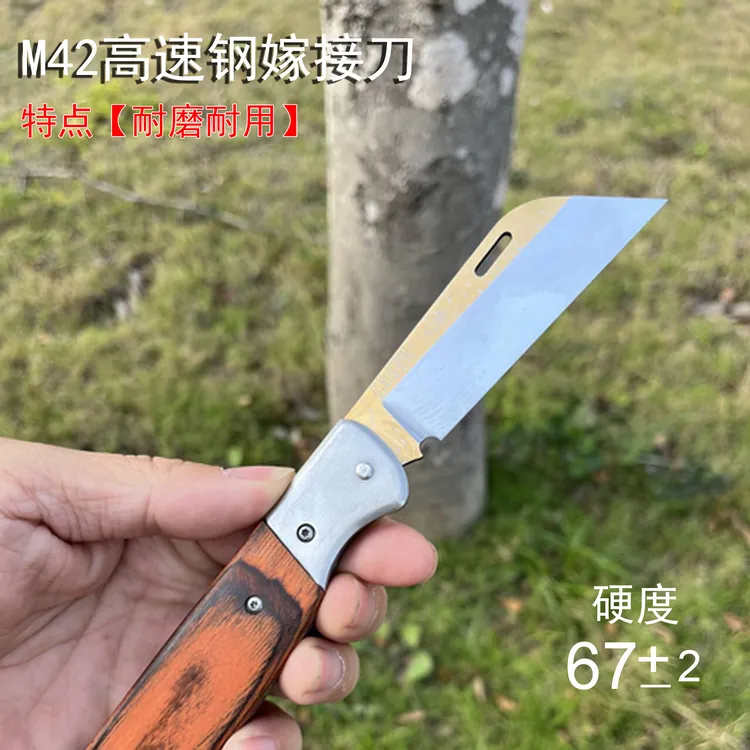直播3号M42高速钢圆头半镜面刀刃折叠款嫁接刀