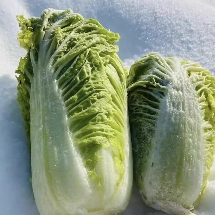 东北冻，白菜5斤装