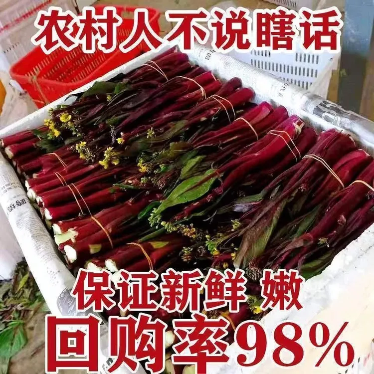 【清晨摘下午发】湖北新鲜红菜苔脆嫩农家自种露天当季采摘打霜菜苔