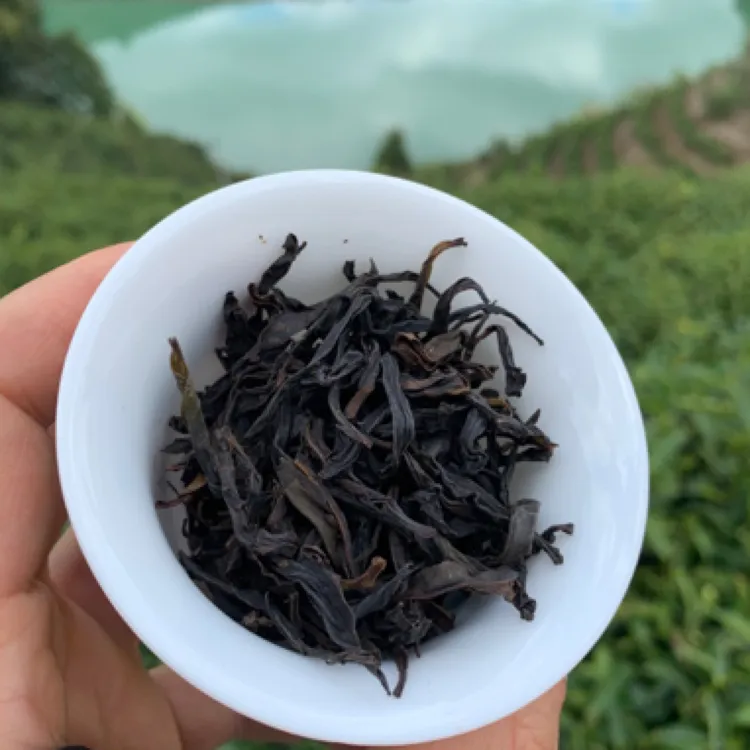 【东方红】正宗凤凰山凤凰单丛茶东方红