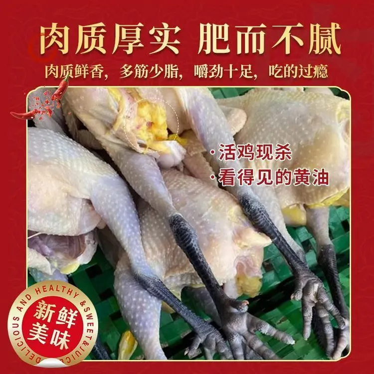 正宗农家散养400天黑脚老母鸡草鸡土鸡月子鸡煲汤鸡新鲜冷冻发货