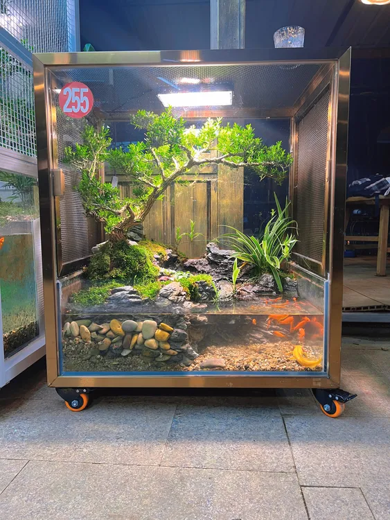 生态鸟笼可养鱼养龟适合室内微景观整装发货