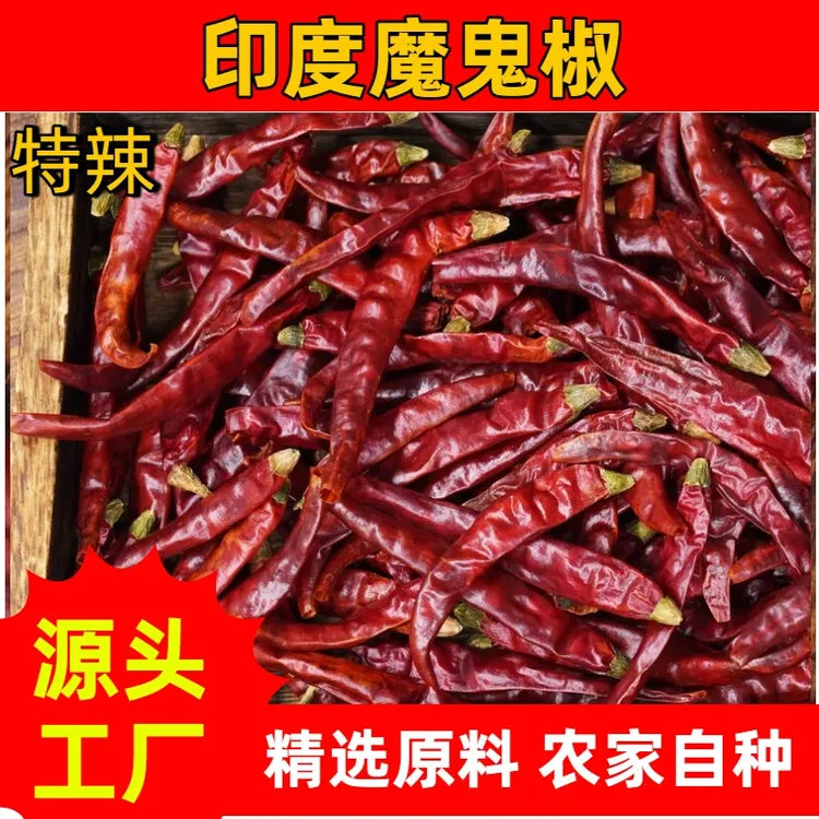 贵州印度魔鬼椒干辣椒源头工厂生产自然生长辣味十足香气浓郁