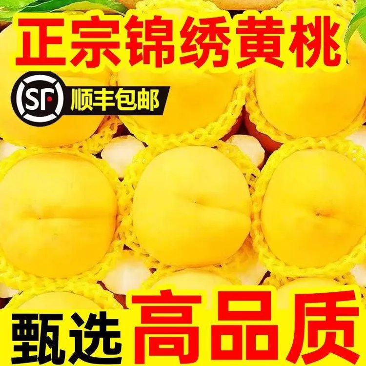  【顺丰包邮】 正宗锦绣黄桃新鲜水果黄肉黄桃脆甜多汁锦绣现摘现发