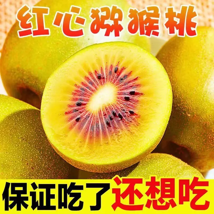 麻阳宝库岭红心猕猴桃大果果肉细腻酸度低汁水充足盆栽地软枣