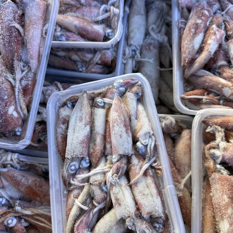 （小阿姨推荐）深海一口管