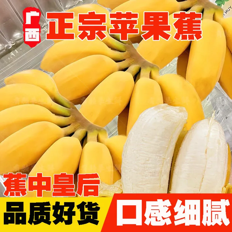 【正宗苹果蕉】5/9斤大果广西当季新鲜孕妇水果香甜糯粉蕉非小米蕉