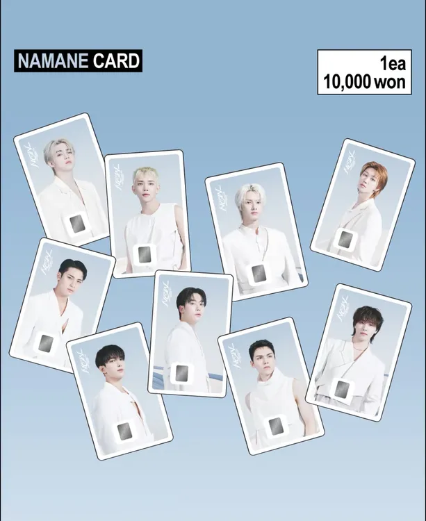 【国现】SEVENTEEN 次  新世巡 namane卡