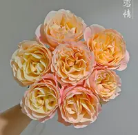 【夏日恋情】稀有单头花花鲜花云南直发品质保证