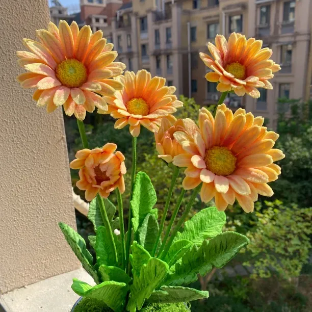 扭扭棒非洲菊胖丁材料包（不含盆）