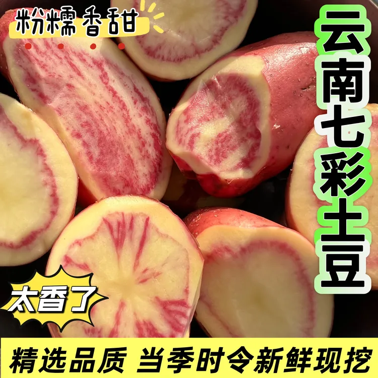 云南七彩洋芋丽江花心洋芋马铃薯新鲜现挖粉糯香甜农家自种青梅