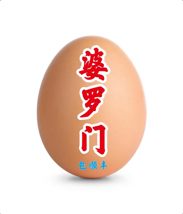 高品质婆罗门鸡蛋进口引进大体巨型正宗各种花色大型