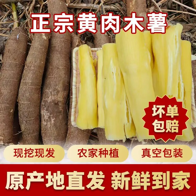 【顺丰】广东黄心木薯 木薯糖水 木薯新鲜软糯香甜肉质饱满现挖现发