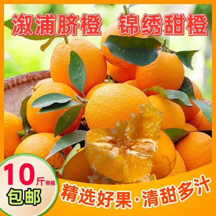 湖南橙子溆浦橙子高山脐橙现摘新鲜水果产地直发多汁10斤果带箱