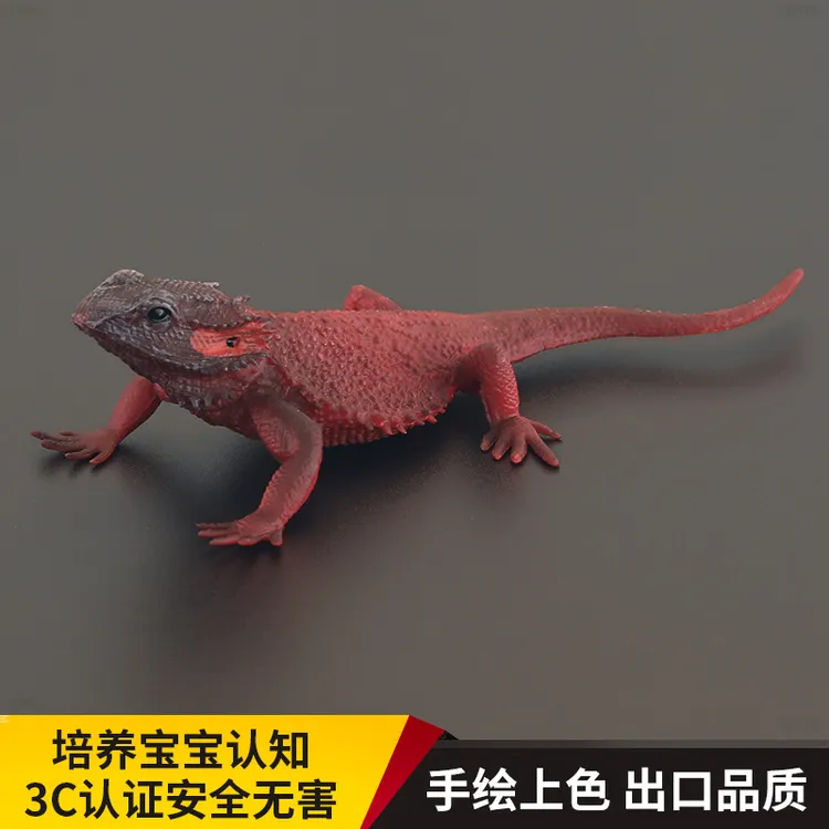 实心儿童仿真动物模型爬行动物玩具中部鬃狮蜥鬣蜥蜴认知礼品摆件