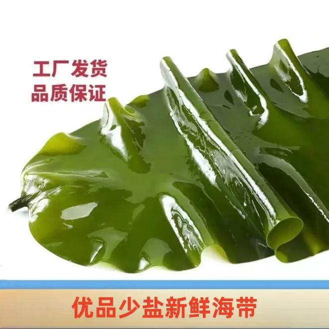 【咱们村专属】大连高品质少盐新鲜嫩海带5斤/箱（含箱5斤）