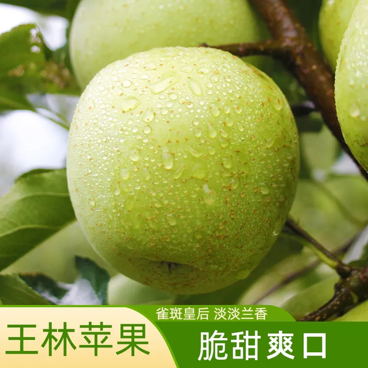 王林苹果新鲜应季孕妇水果整箱脆甜爆汁丑青绿小青森雀斑苹果