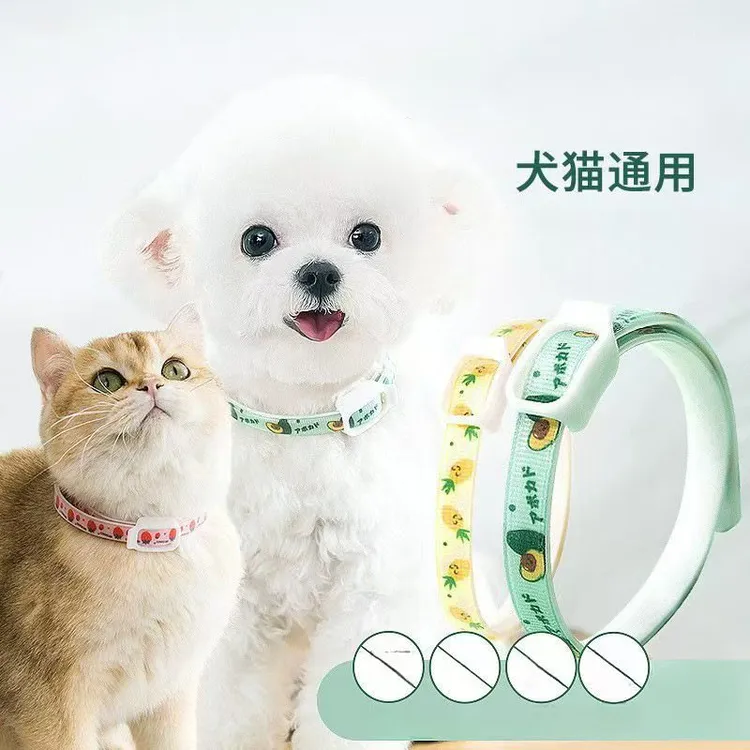 狗狗项圈香茅精油安全猫咪颈圈幼猫脖圈宠物脖圈中小型犬小猫项圈