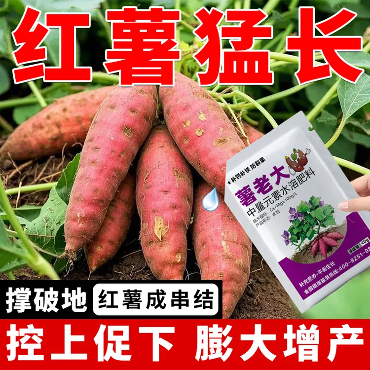 红薯专用肥料正品控制旺长保花保果膨大增产不早衰红薯膨大素增产