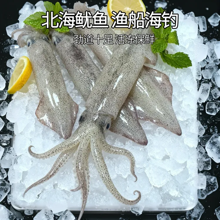 中秋送礼佳品家宴广西涠洲岛海钓鱿鱼海兔活冻保鲜不泡水半价尝鲜