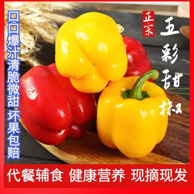 【顺丰包邮】山东寿光五彩甜椒水果椒维生素C彩椒低K健康生吃蔬菜