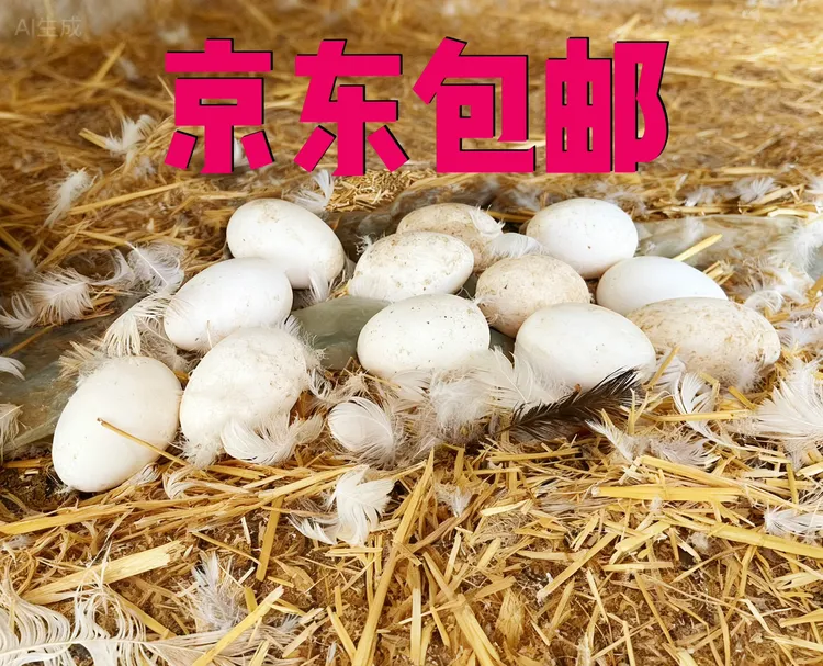 山东散养农家鹅蛋京东运输