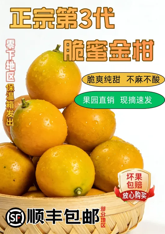 【现摘现发】正宗融安三代脆蜜金柑 现摘水果纯甜无籽脆蜜金桔
